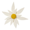Edelweißblüte Styropor Größe:40x10cm,  Farbe: weiß