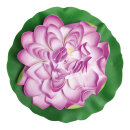 Seerose, blühend,  Größe: Ø 40cm, Farbe: violett/grün   #