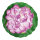 Water lily blooming  - Material: foam - Color: purple/green - Size: Ø 40cm