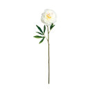 Peony  - Material: artificial silk - Color: white - Size:...