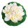 Seerose, blühend Schaumstoff     Groesse: Ø 40cm - Farbe: weiß/grün