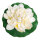 Water lily blooming  - Material: foam - Color: white/green - Size: Ø 40cm