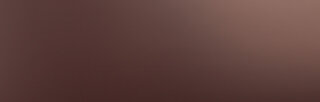 Wanddekorplatte DM Bronze matt metallic AR qm: 2,6  Abmessung [mm]: 2600x1000x1 Wandpaneel-Blickfang  in mehreren Ausführungen