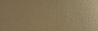 Wanddekorplatte DM METALLIC USED Champagne AR-NEWS 2018 qm: 2,6  Abmessung [mm]: 2600x1000x1 Wandpaneel-Blickfang  in mehreren Ausführungen