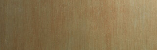 Wanddekorplatte SELBSTKLEBEND DM SLIGHTLY USED Gold AR-NEWS 2018 qm: 2,6  Abmessung [mm]: 2600x1000x1 Wandpaneel-Blickfang  in mehreren Ausführungen - Wandtapete