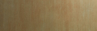 Wanddekorplatte SELBSTKLEBEND DM SLIGHTLY USED Gold AR-NEWS 2018 qm: 2,6  Abmessung [mm]: 2600x1000x1 Wandpaneel-Blickfang  in mehreren Ausführungen - Wandtapete
