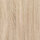 Wanddekorplatte SELBSTKLEBEND WL Oak Tree Light  qm: 2,6  Abmessung [mm]: 2600x1000x1,2 Wandpaneel-Blickfang  in mehreren Ausführungen - Wandtapete