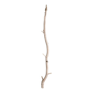 Trunk with small branches for decoration - Material: for hanging - Color: natural-coloured - Size: 180cm X Ø5cm