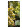 Motivdruck »Weintrauben« aus Papier Abmessung: 180x90cm Farbe: grün #