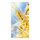 Banner "Grain Spike" paper - Material:  -...