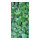 Banner "Wall with ivy" paper - Material:  - Color: green - Size: 180x90cm