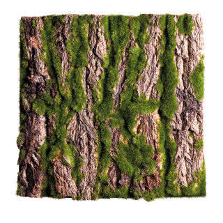 Baumrindenplatte bemoost, mit echter Baumrinde     Groesse: 30x30cm    Farbe: natur