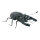 Stag beetle made of styrofoam - Material:  - Color: black/brown - Size: 45x20x14cm