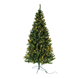 Edeltanne »Deluxe« mit 545 Tips, 300 LEDs, IP44, für den Außenbereich, EN71, 180cm    Farbe: grün/ warmweiß