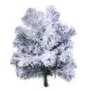 Noble fir twig 8 tips snowed - Material:  - Color:...