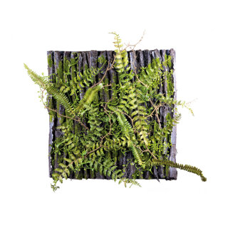 Fern plate panel in bark finish - Material: decorated with ferns - Color: black/green - Size: 50x50cm