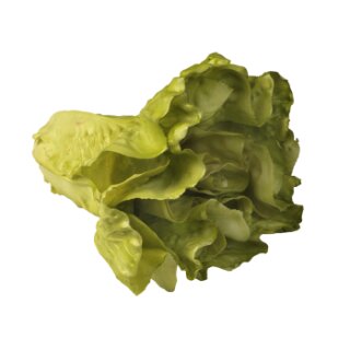 Salatkopf natural hellgrün Ø 20 x 15 cm (689020) - lieberbar ab Mitte - Ende April 2025