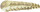 DIMAVERY DBR-522 Becken 22er Ride