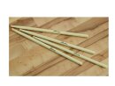 DIMAVERY DDS-Marchingsticks, maple, white