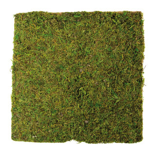 Moosplatte Naturmoos, mit Papierunterlage Größe:30x30cm Farbe: natur