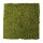 Moss plate natural moss on paper base     Size: 30x30cm    Color: natural