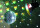 EUROLITE Spiegelkugelset 20cm mit Pinspot