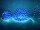 EUROLITE RUBBERLIGHT RL1-230V blue 9m