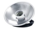 Raylight PAR-46, E-27