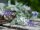 EUROPALMS Blütengirlande, künstlich, weiß,  180cm