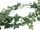 EUROPALMS Ivy garland classic, artificial, 180cm