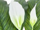 EUROPALMS Spathiphyllum deluxe, artificial, 83cm