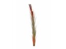EUROPALMS Reed grass with cattails, light-brown,...