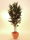 EUROPALMS Olive Tree with fruits, 2 trunks, artificial, 250cm