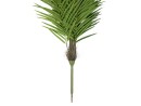 EUROPALMS Phoenix palm tree luxor, artificial plant, 150cm