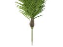 EUROPALMS Phoenix palm tree luxor, artificial plant, 300cm