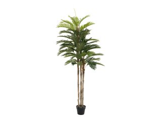 EUROPALMS Kentia Palme, Kunstpflanze, 180cm