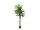 EUROPALMS Kentia palm tree, artificial plant, 180cm