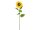 EUROPALMS Sunflower, artificial plant, 70cm