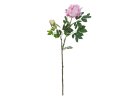 EUROPALMS Peony Branch premium, artificial plant, pink,...