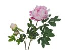 EUROPALMS Peony Branch premium, artificial plant, pink,...