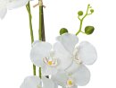 EUROPALMS Orchid, artificial plant, white, 80cm