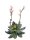 EUROPALMS Steinrose (EVA), Kunstpflanze, pink, 32cm