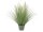 EUROPALMS Ornamental blooming grass, artificial, 70cm