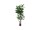 EUROPALMS Rubber tree, artificial plant, 150cm