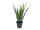 EUROPALMS Aloe vera plant, artificial plant, 60cm