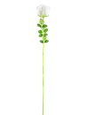 EUROPALMS Crystal rose, white, artificial flower, 81cm 12x