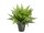 EUROPALMS Farnbusch im Dekotopf, Kunstpflanze, 51 Blätter, 48cm