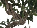 EUROPALMS Ficus multiple spiral trunk, artificial plant,...