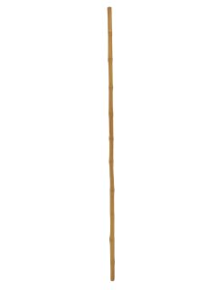 EUROPALMS Bamboo tube, Ø=3cm, 200cm