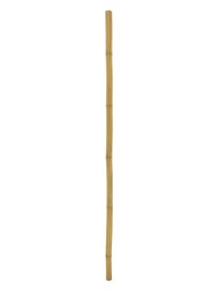 EUROPALMS Bamboo tube, Ø=5cm, 200cm
